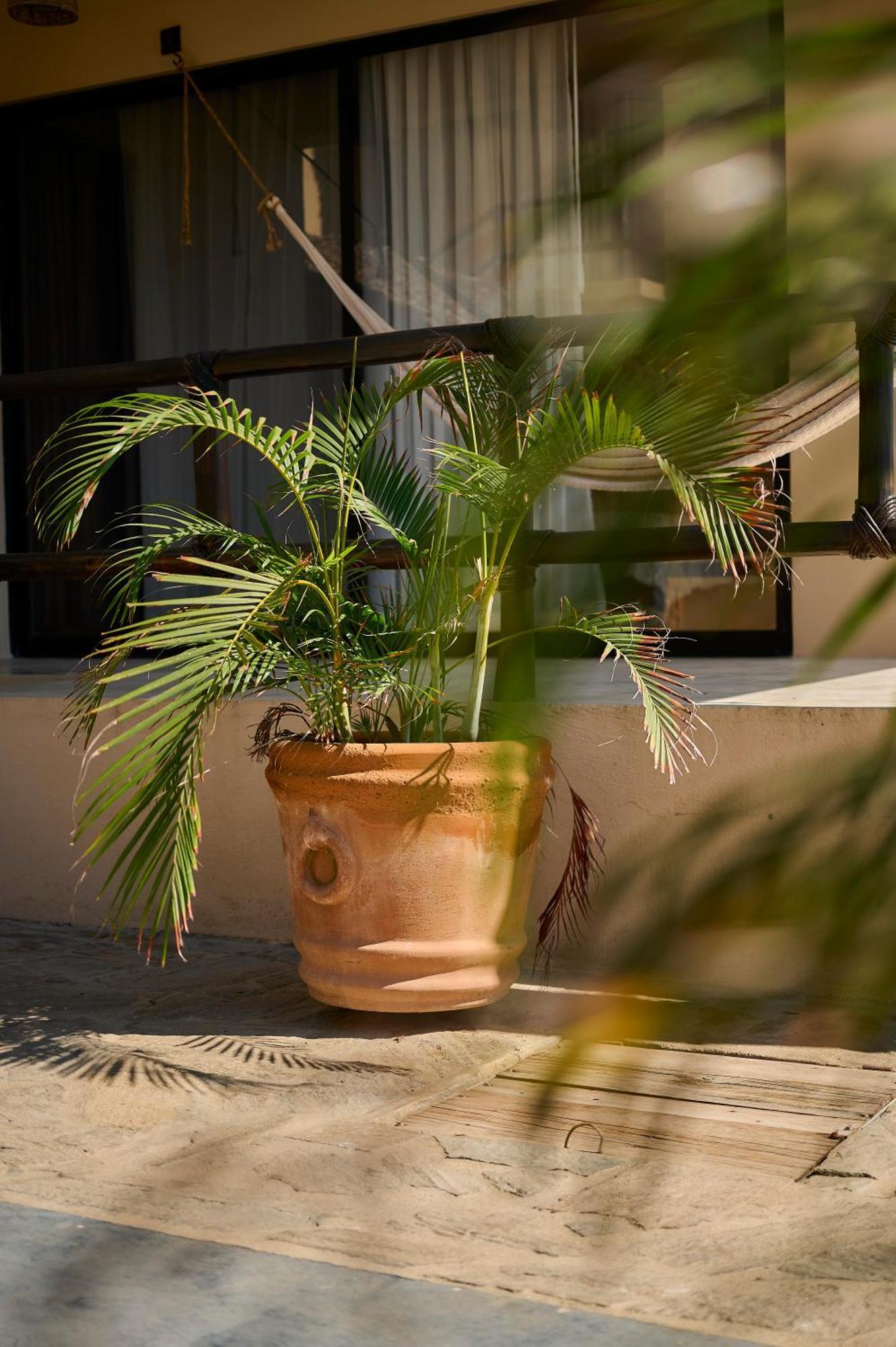 Lya Beach House Santa María Colotepec المظهر الخارجي الصورة